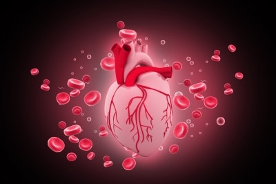 Maladies cardio-vasculaires : diagnostic avec l’examen coronarien