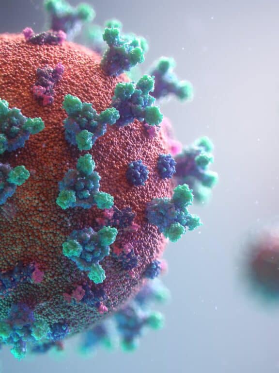 Quelles sont les grandes familles de microbes ?