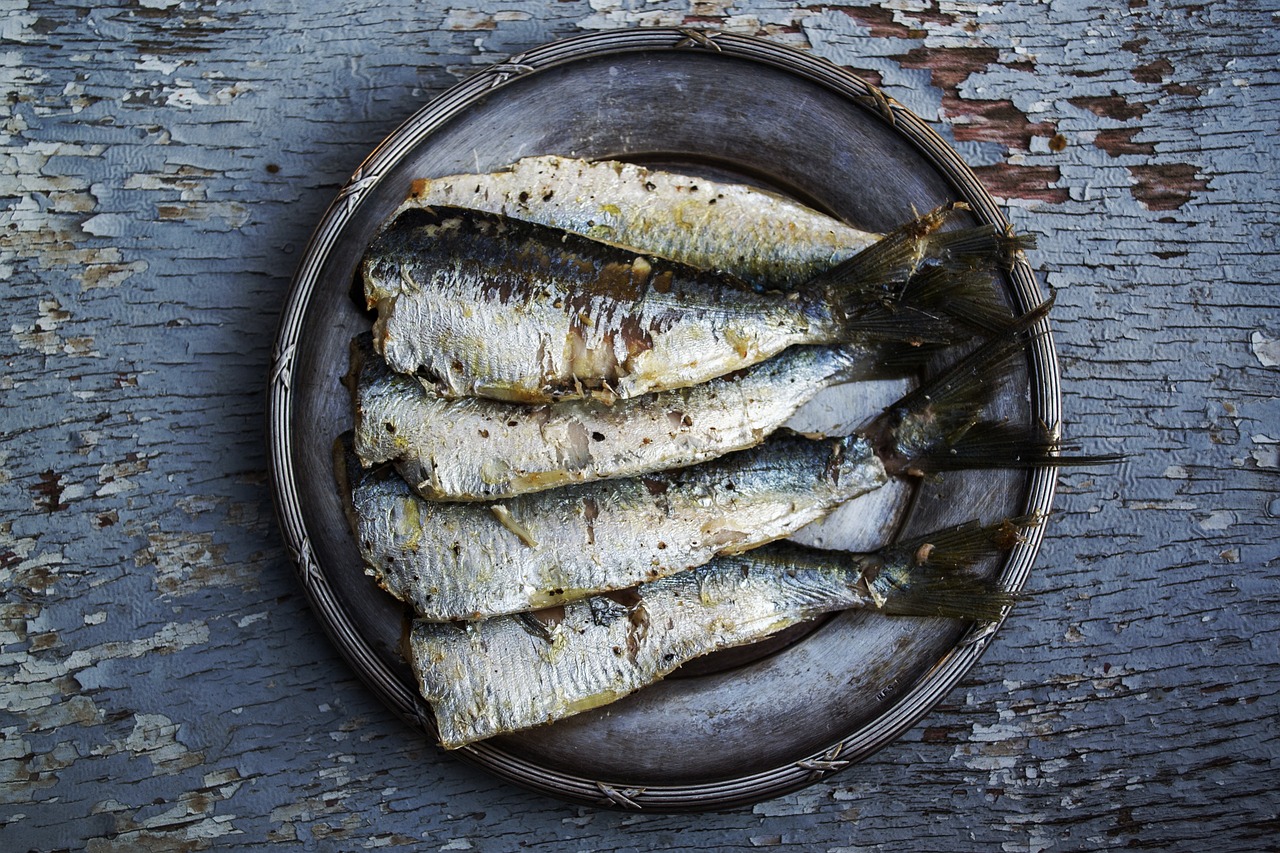 Quels sont les aliments riches en fer ?